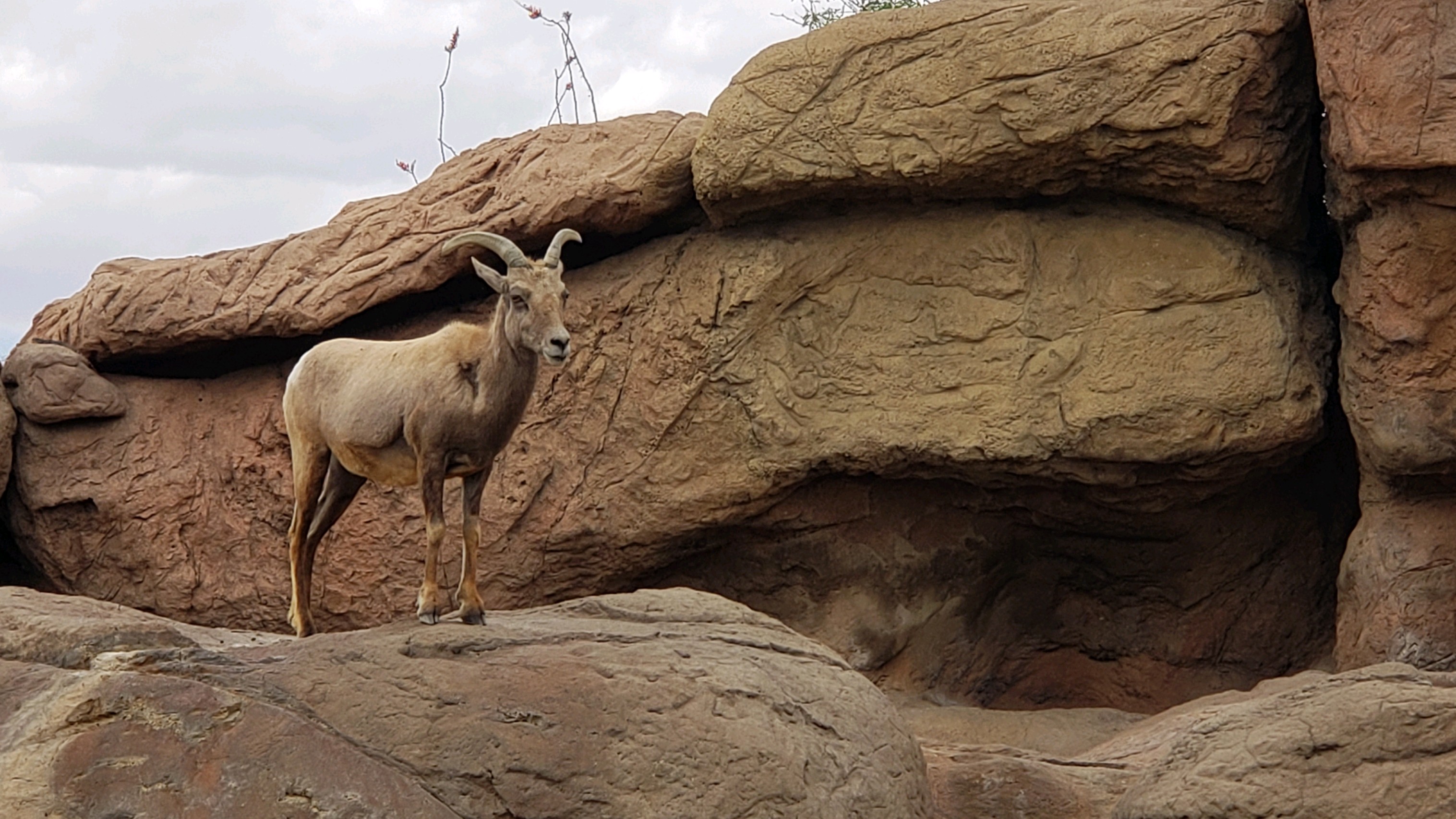 This image has an empty alt attribute; its file name is image_014fc40c-7181-4c28-aa30-db7e0c46cc8c.img_9966.jpg