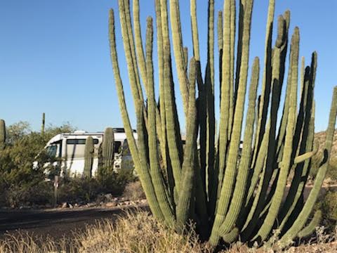 This image has an empty alt attribute; its file name is image_4856fd73-1454-4eca-8617-a9fce752113a.mail_.jpeg