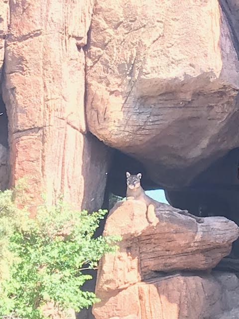 This image has an empty alt attribute; its file name is image_6a8d5301-67fb-4715-8ef6-60b518569205.mail_.jpeg