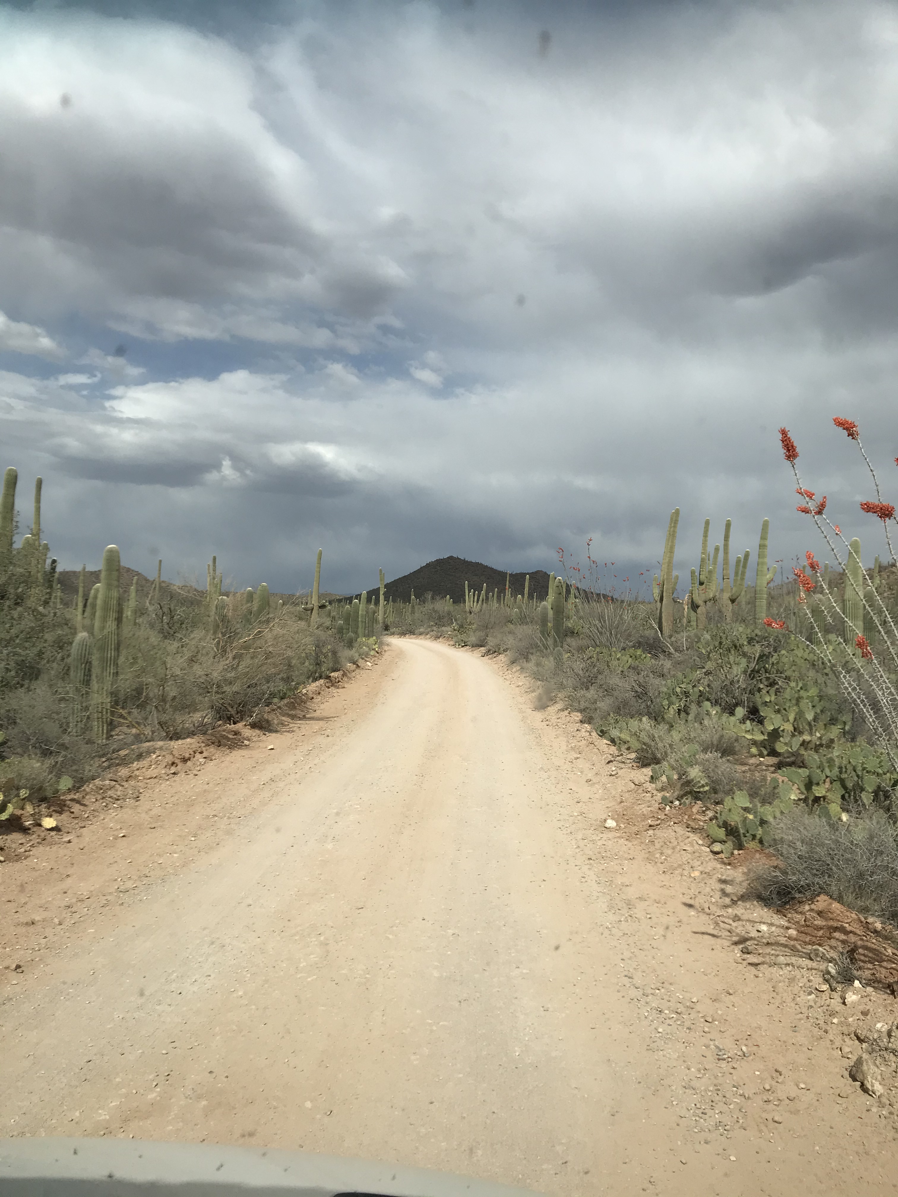 This image has an empty alt attribute; its file name is image_6becb769-330f-4041-90b8-848edb17577d.img_8505.jpeg