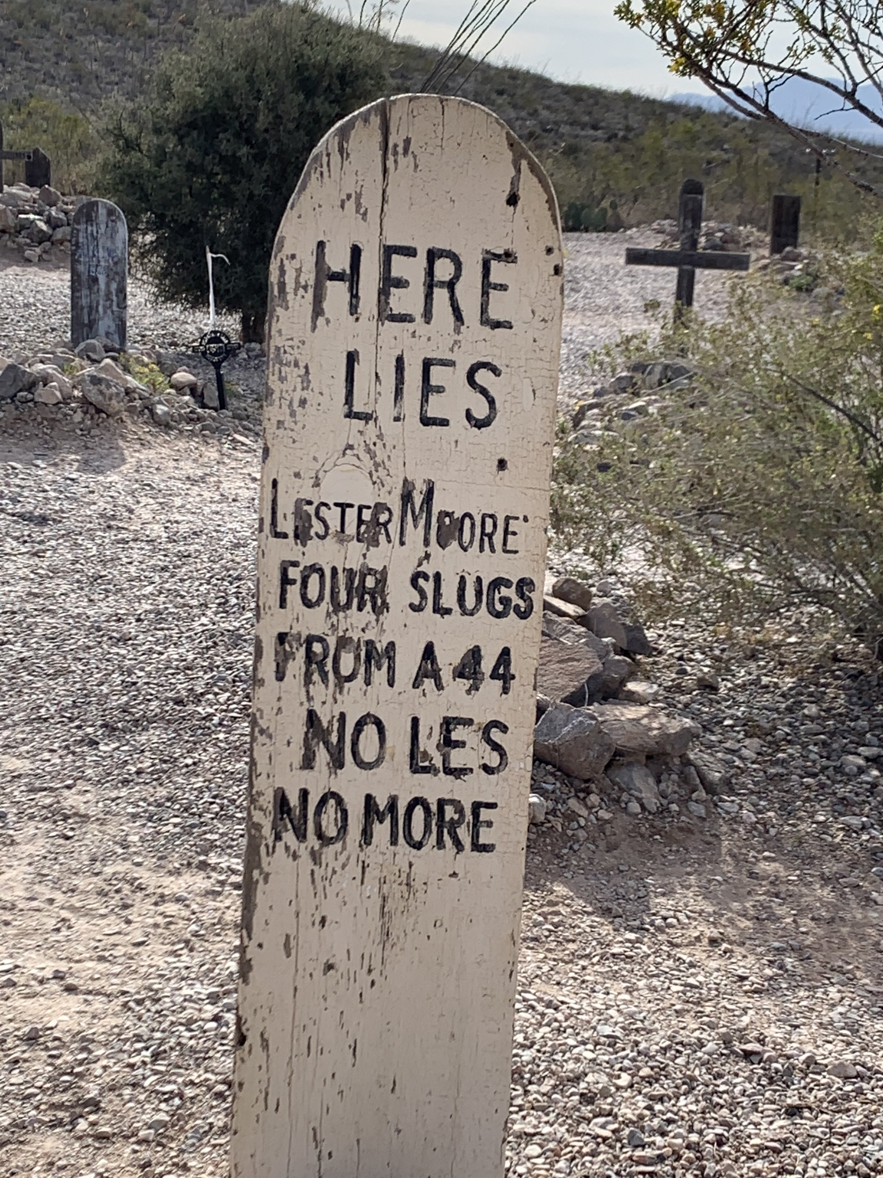 This image has an empty alt attribute; its file name is image_858486de-44f5-4cbf-85a9-76b6148d1adf.img_9149.jpg