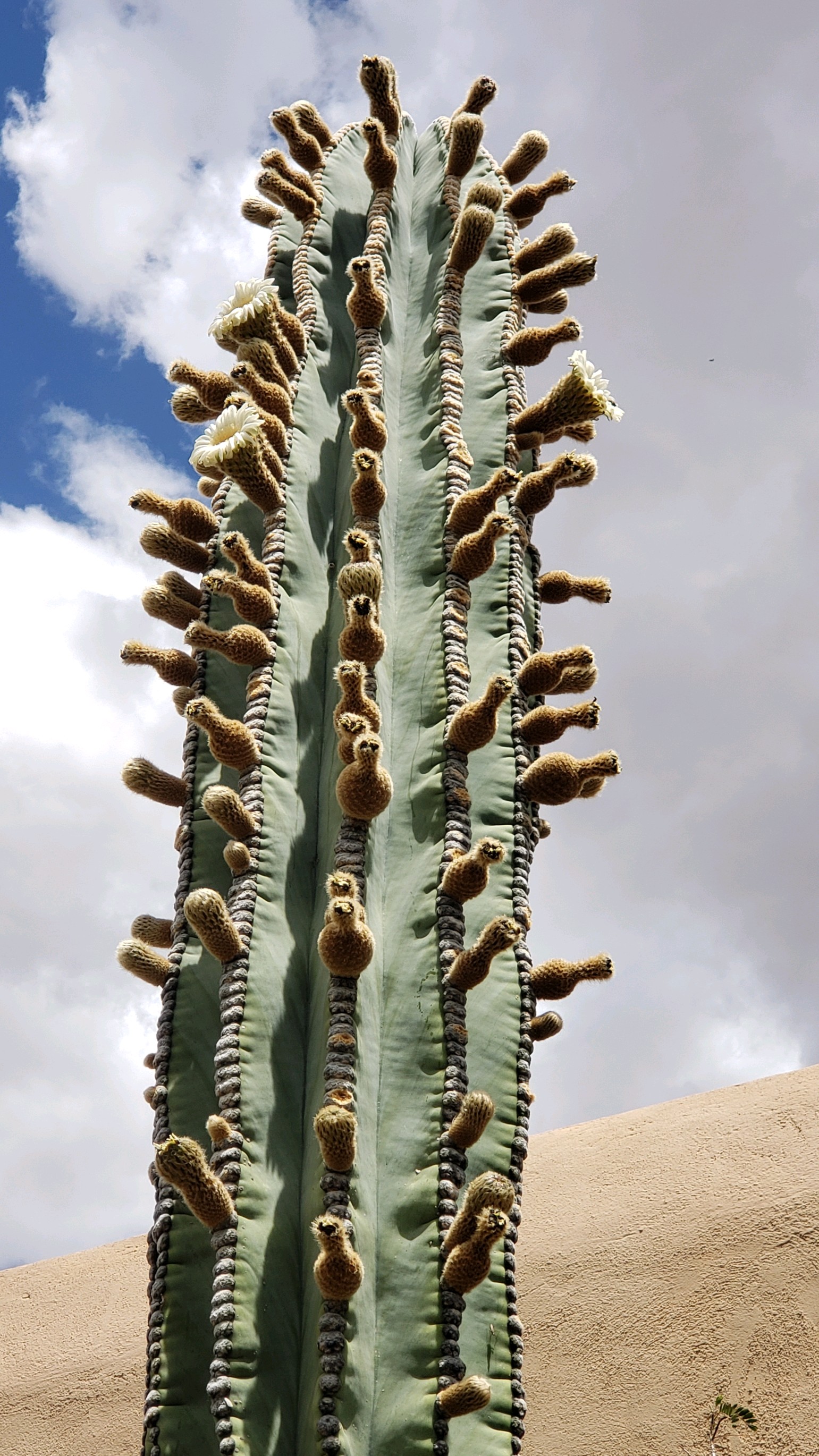 This image has an empty alt attribute; its file name is image_85fac930-b379-46aa-a660-8ac19280e860.img_9963.jpg