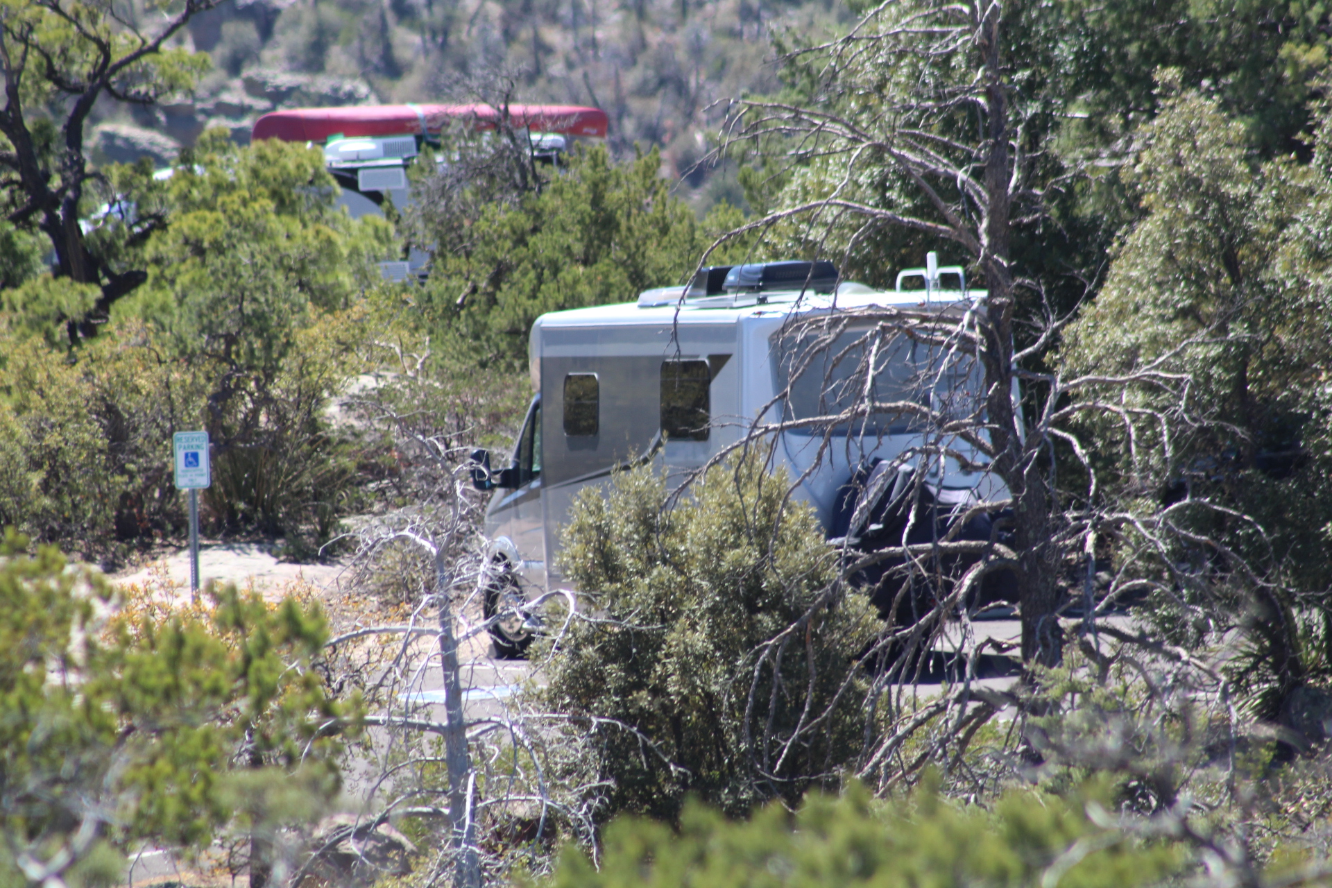 This image has an empty alt attribute; its file name is image_9fe1e9de-51a8-433d-b0eb-8e5f7b9768ef.img_3310.jpg