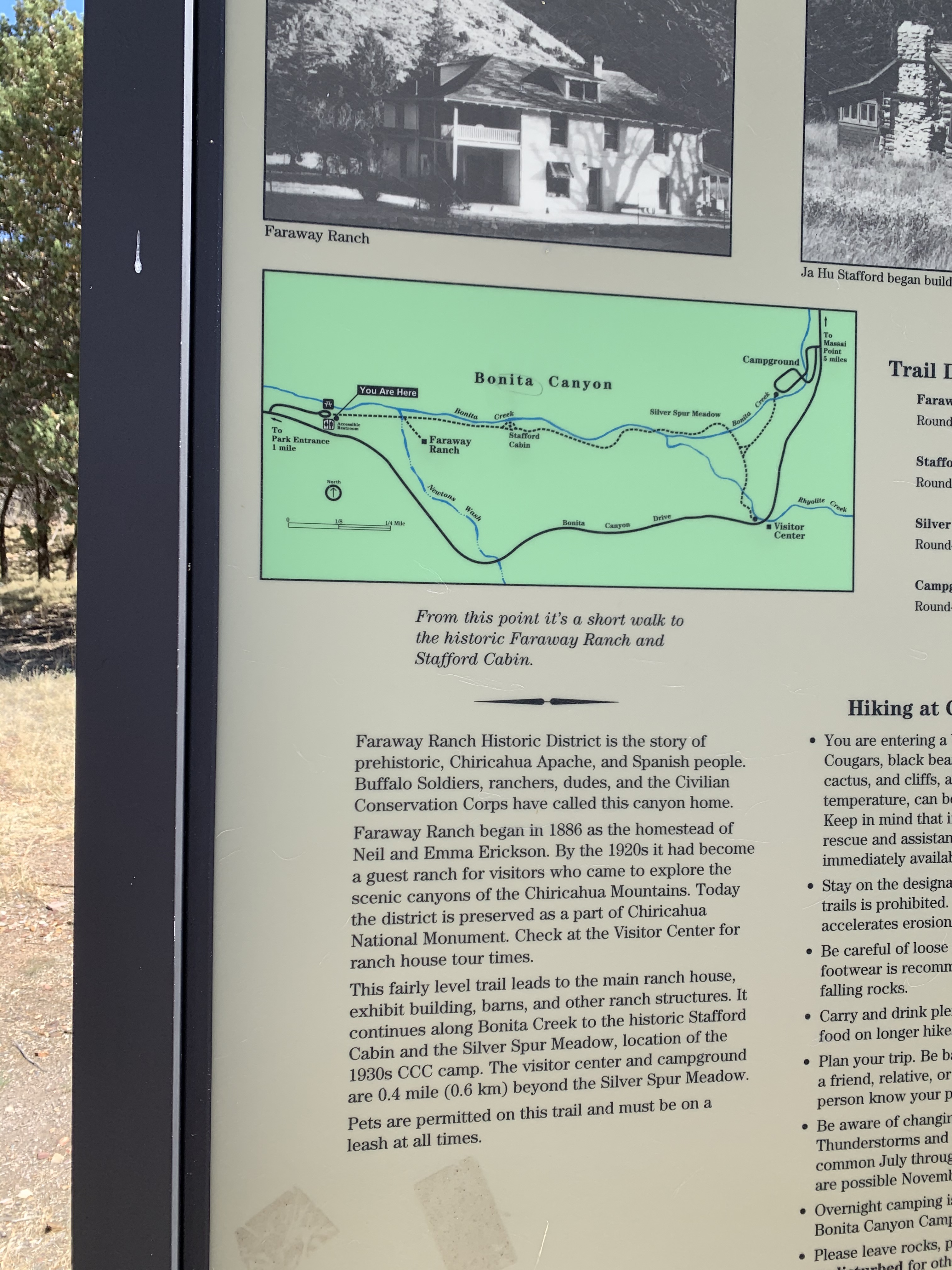 This image has an empty alt attribute; its file name is image_e7a66182-d448-4e6c-8ea9-265b031d3943.img_9088.jpg